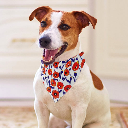 Pet Tie-On Bandana