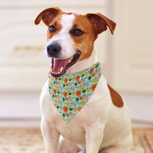 Pet Tie-On Bandana