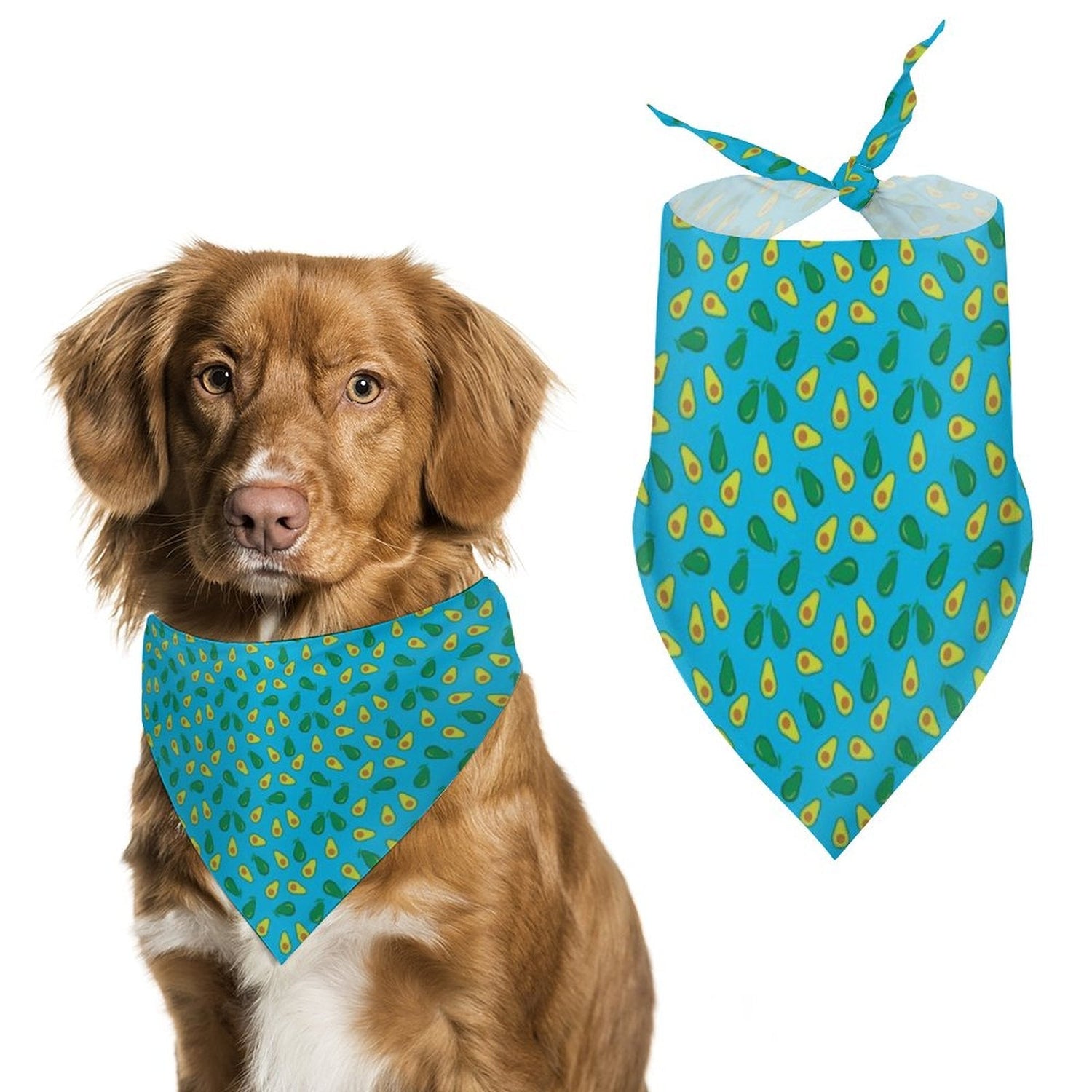 Pet Tie-On Bandana