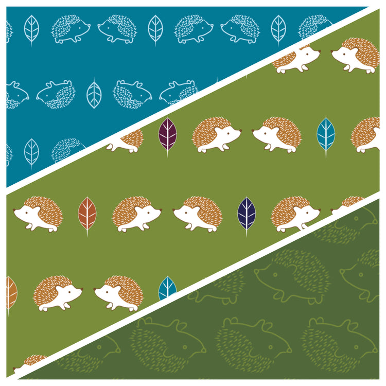 Hedgehogs