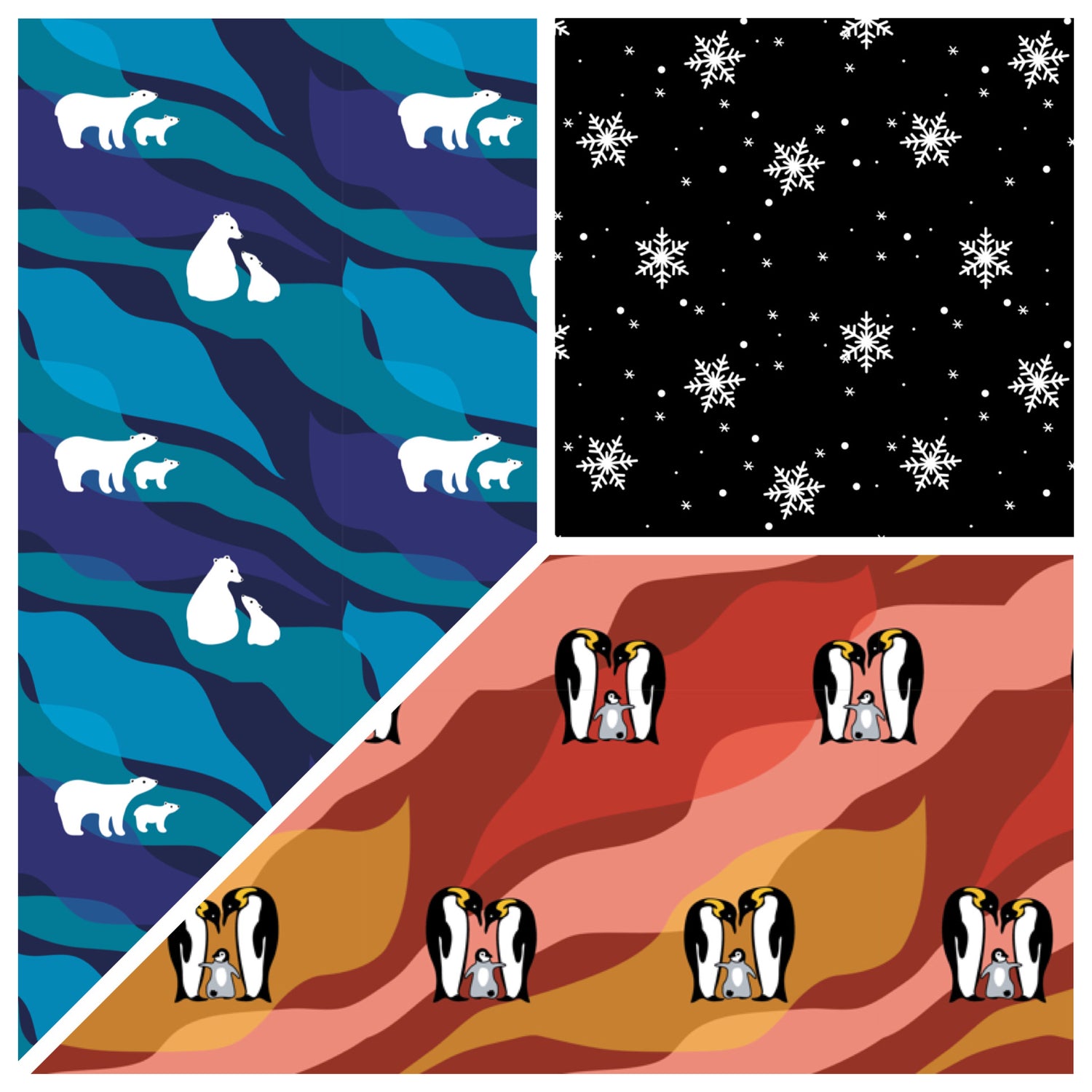 Polar Winter