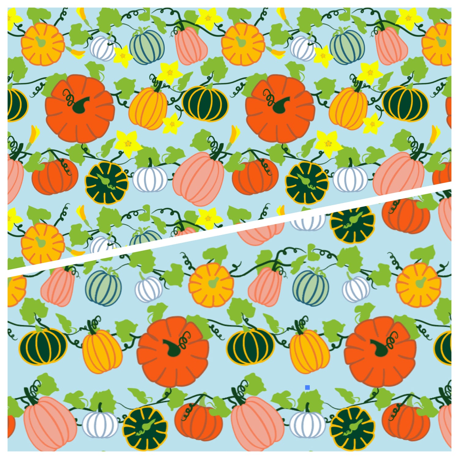Pumpkin Patch