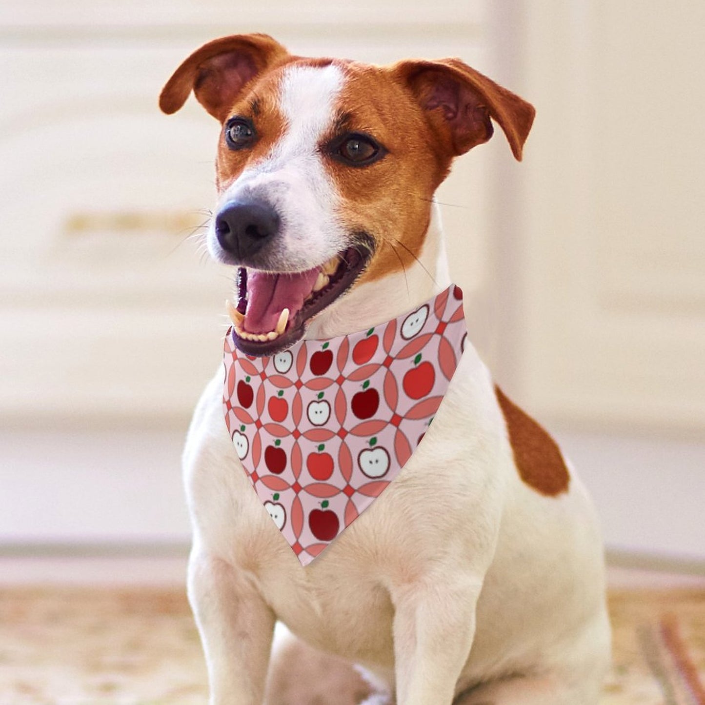 Pet Tie-On Bandana