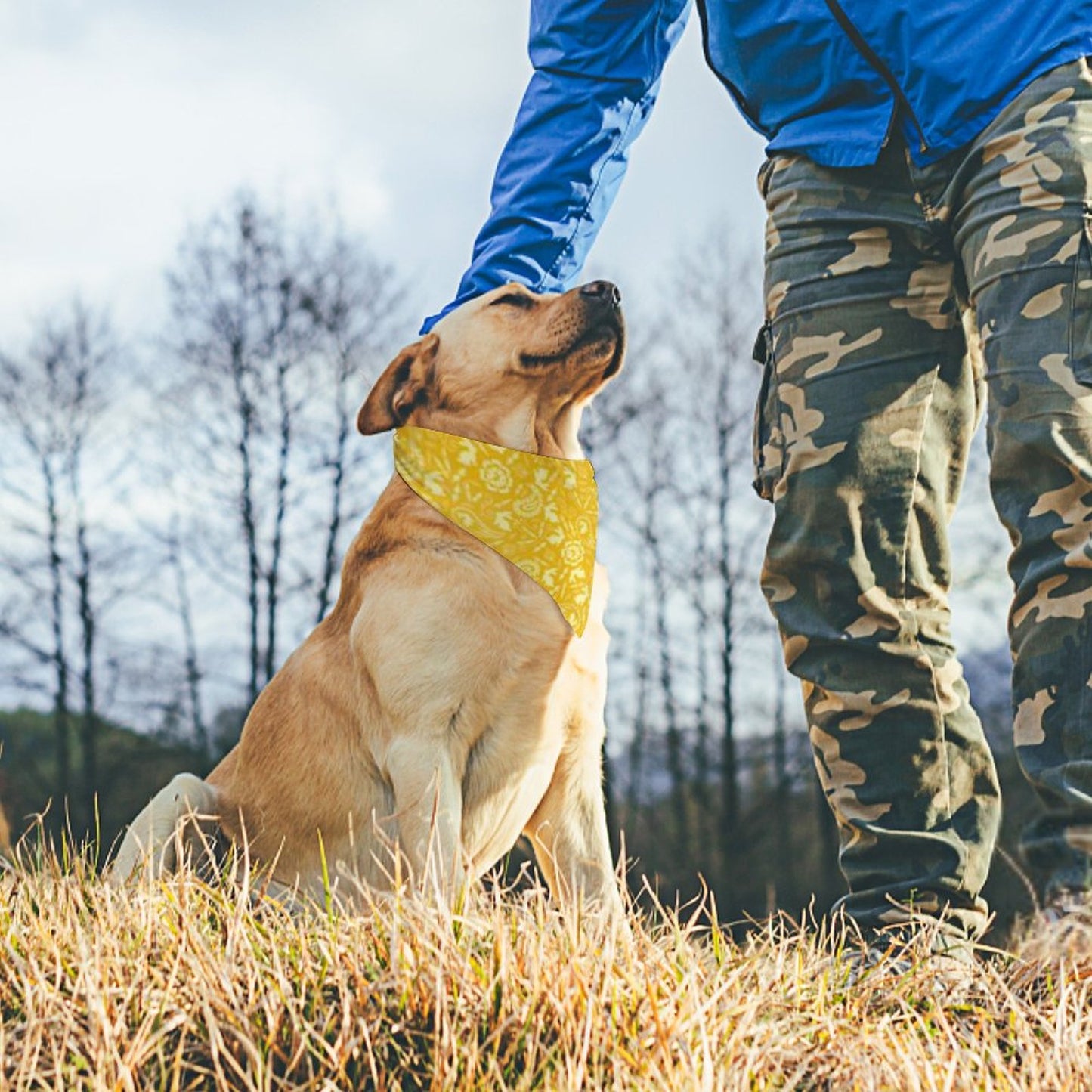 Pet Tie-On Bandana