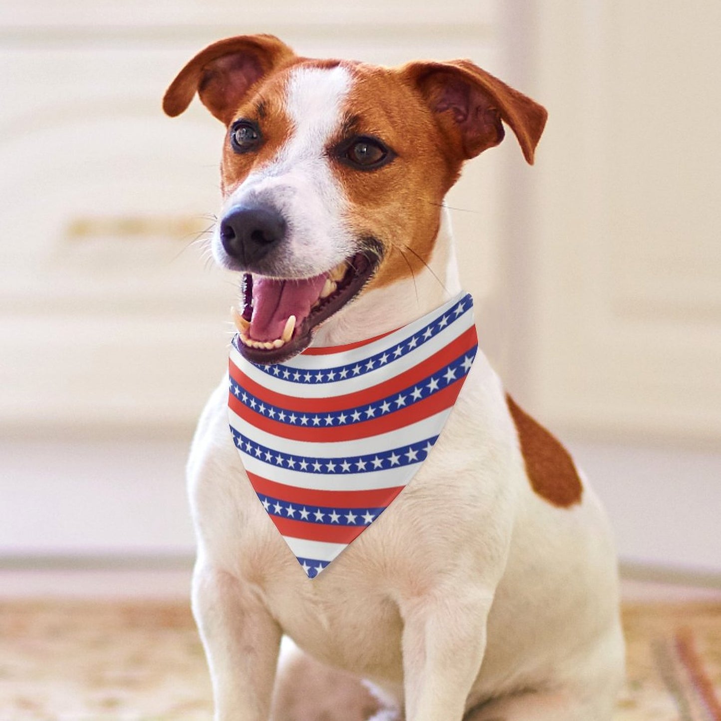 Pet Tie-On Bandana
