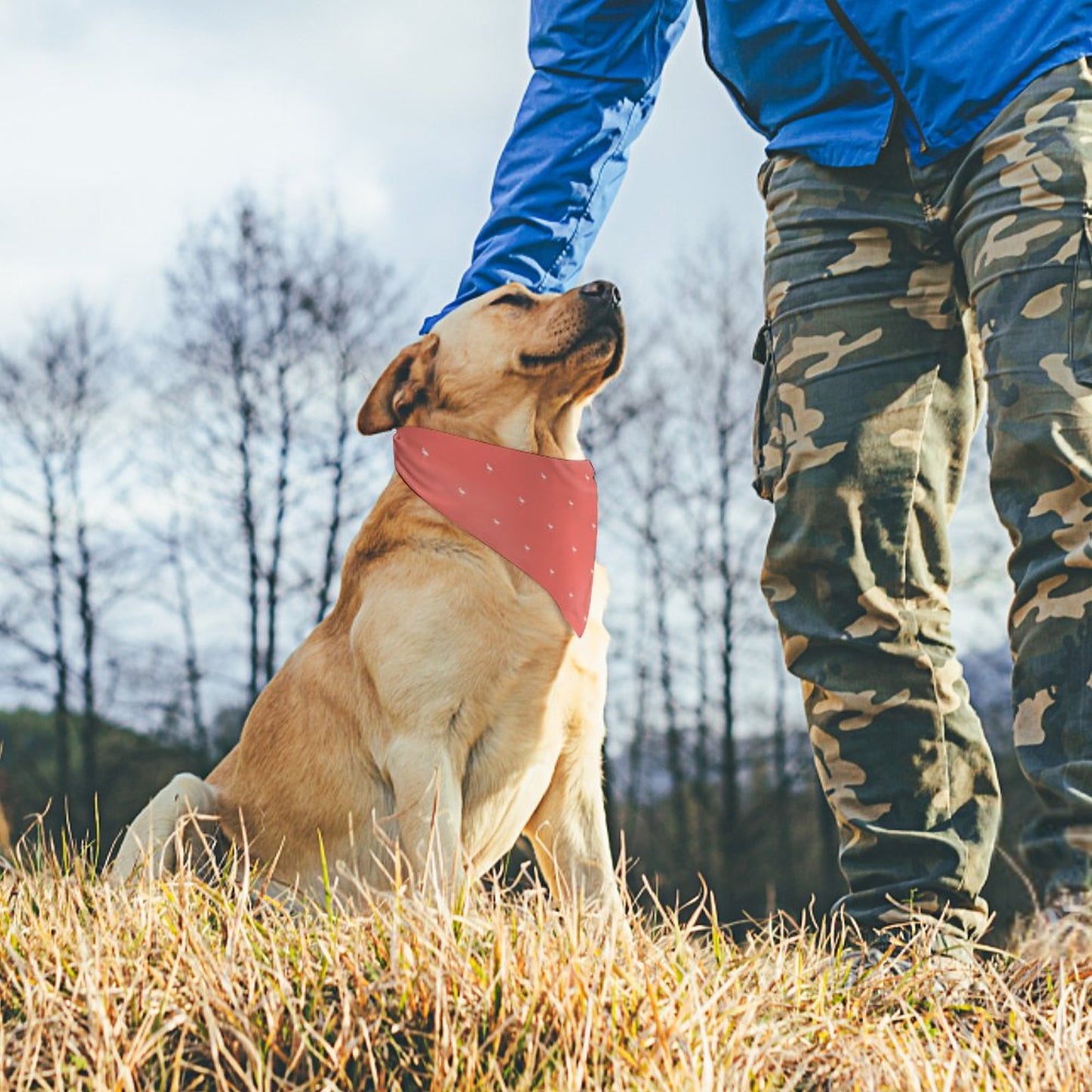 Pet Bandana