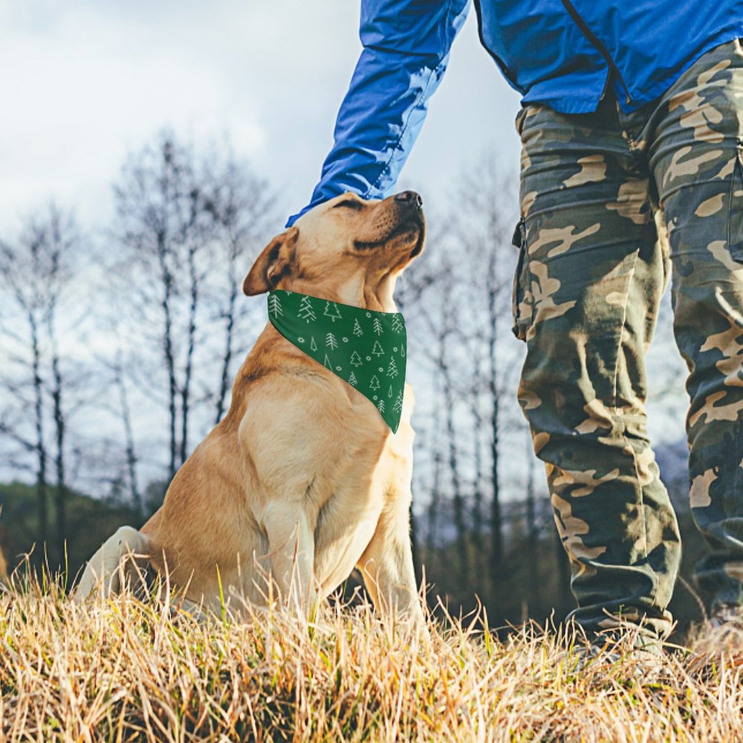 Pet Tie-On Bandana