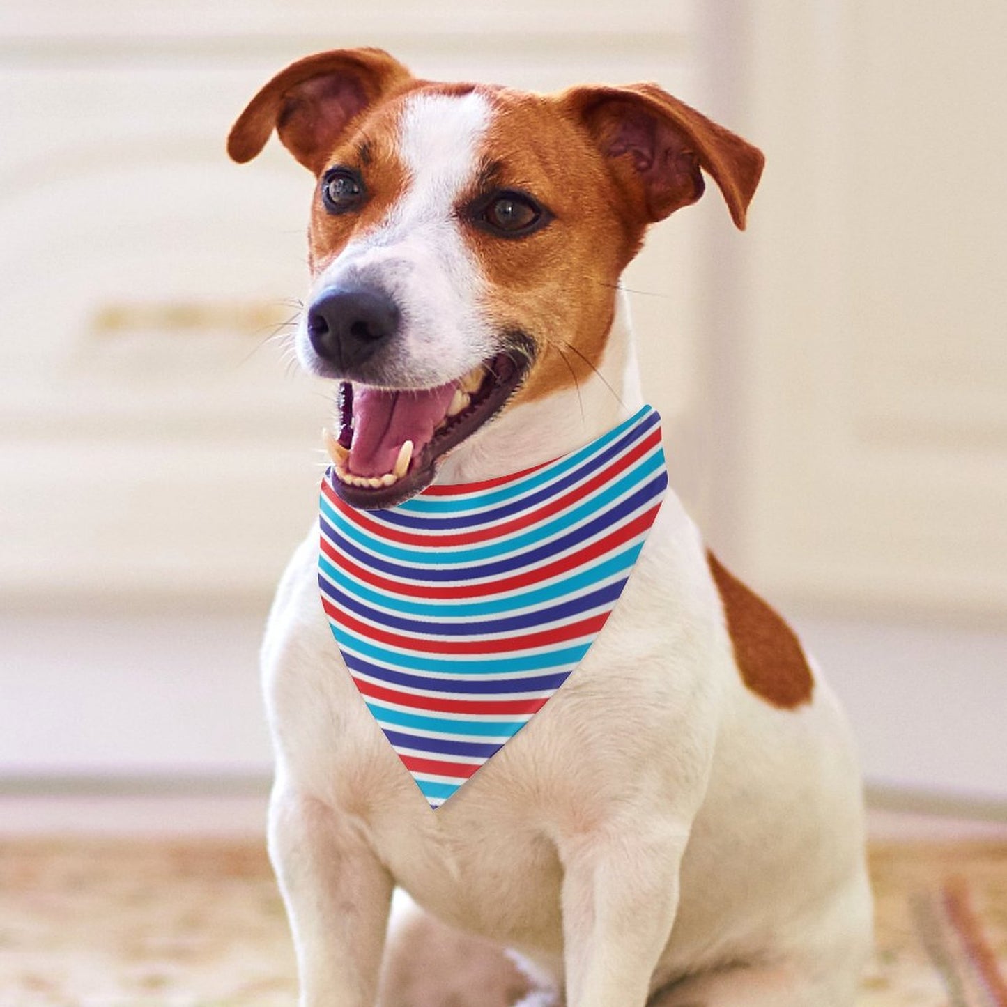 Pet Tie-On Bandana