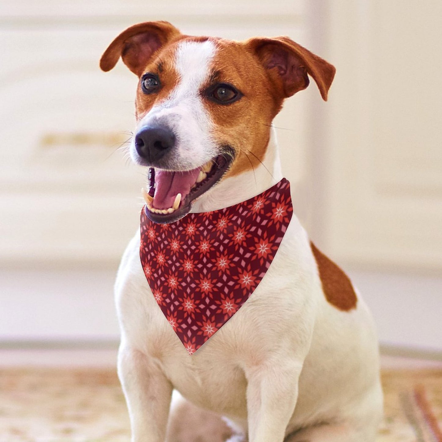 Pet Tie-On Bandana