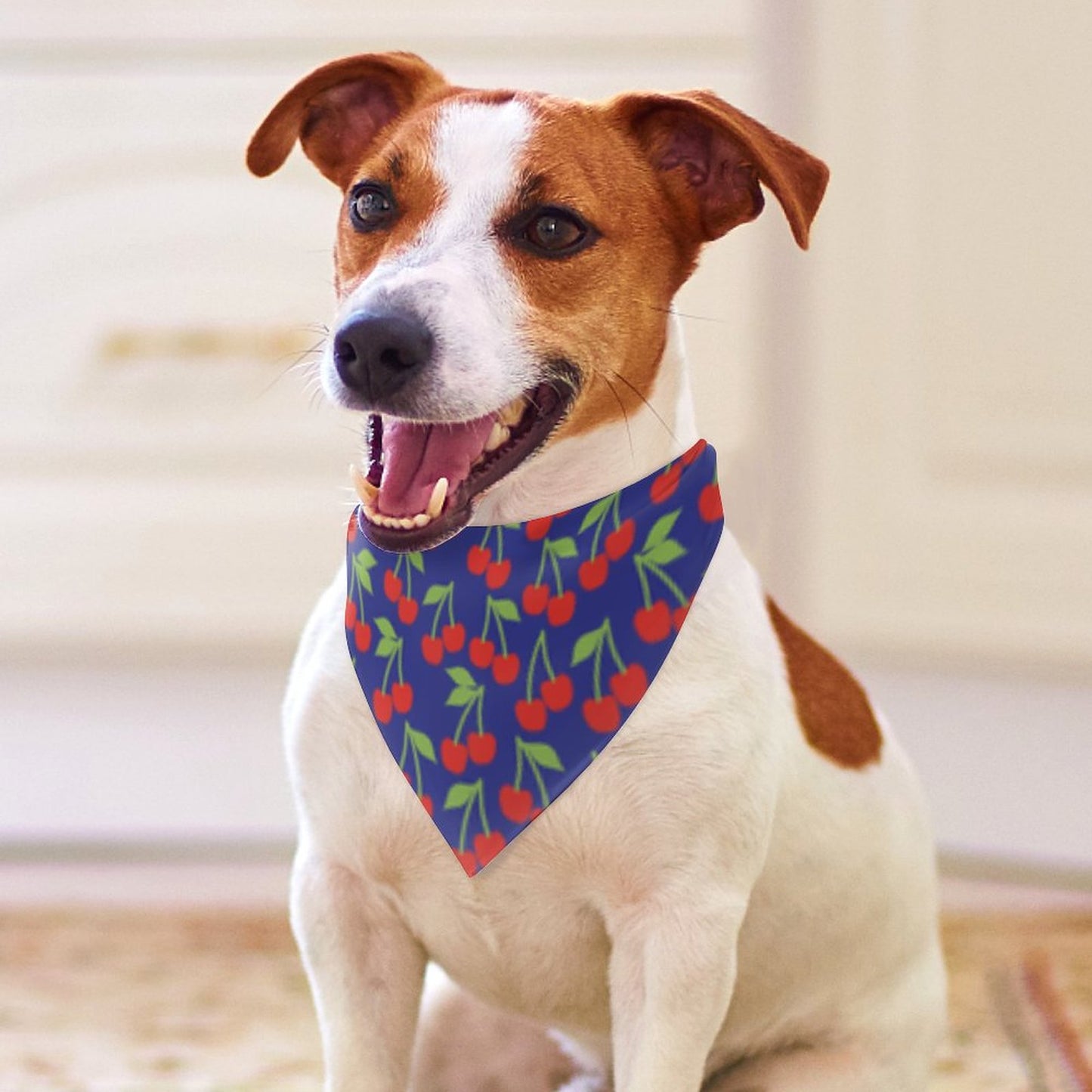 Pet Tie-On Bandana
