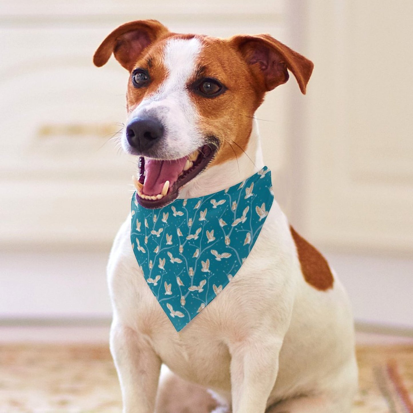 Pet Bandana