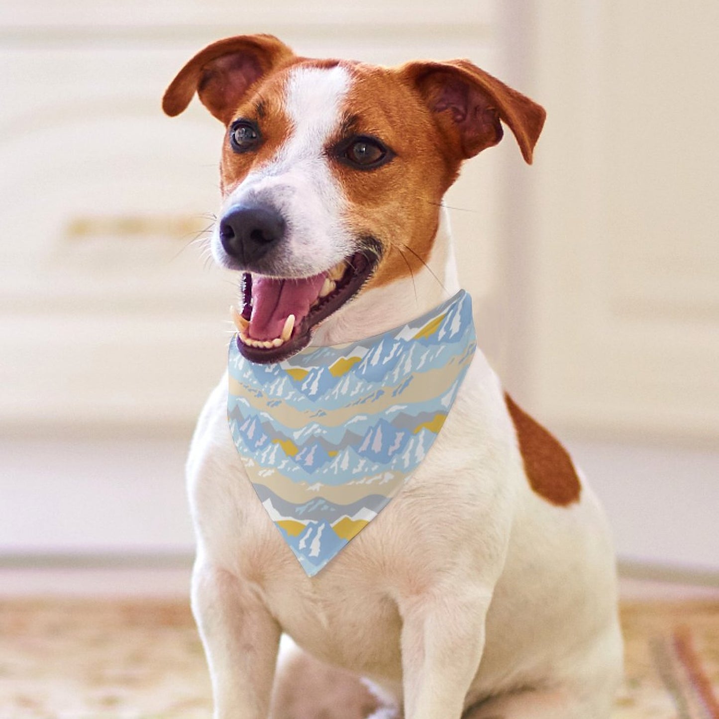 Pet Tie-On Bandana