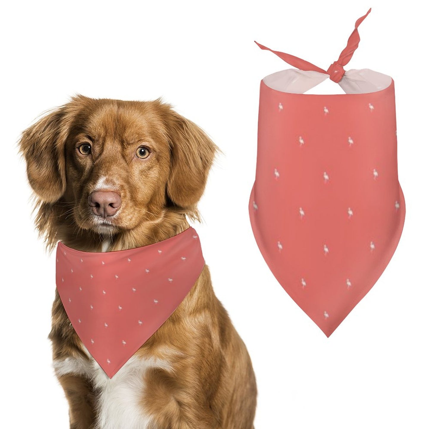 Pet Bandana