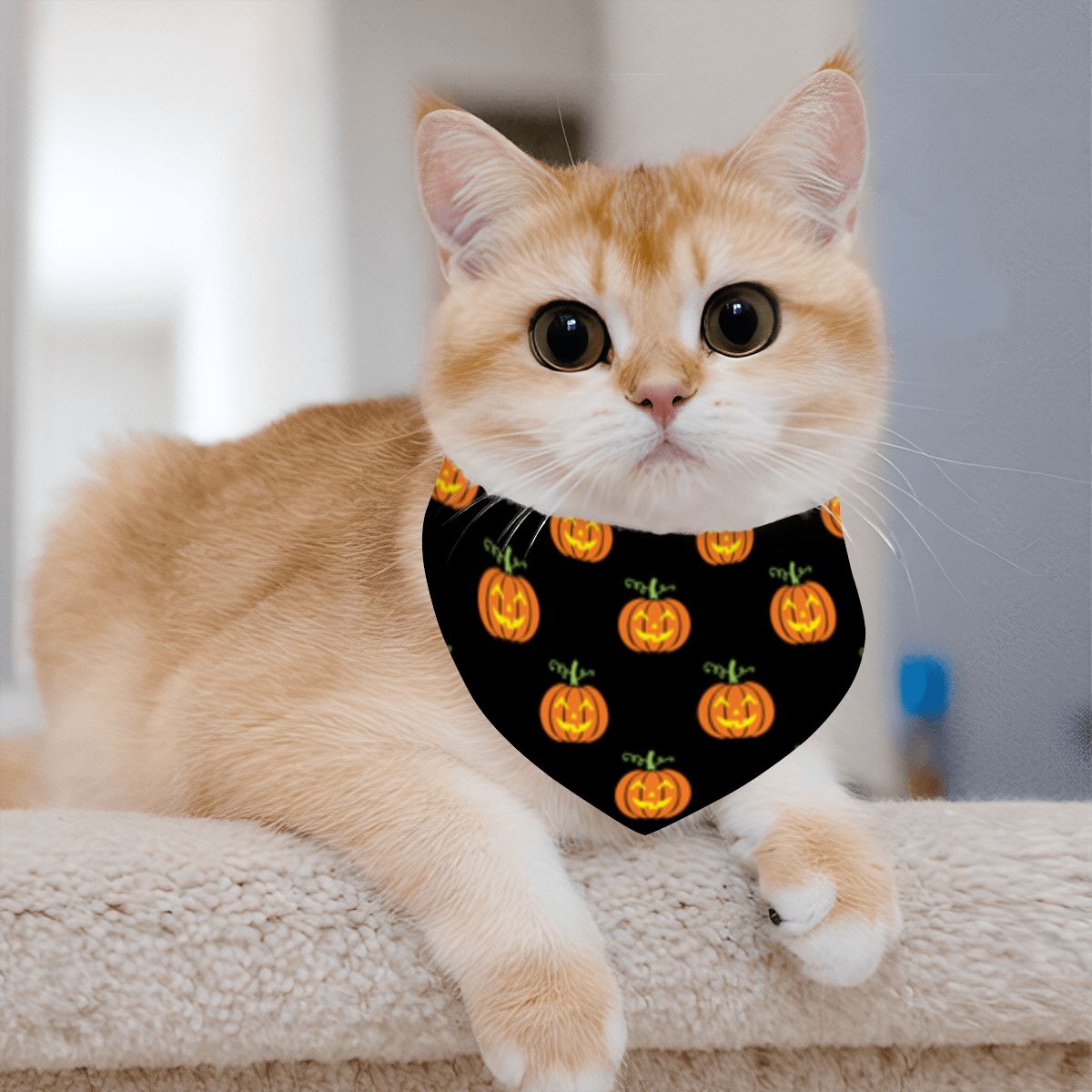 Pet Cotton Snap Bandana