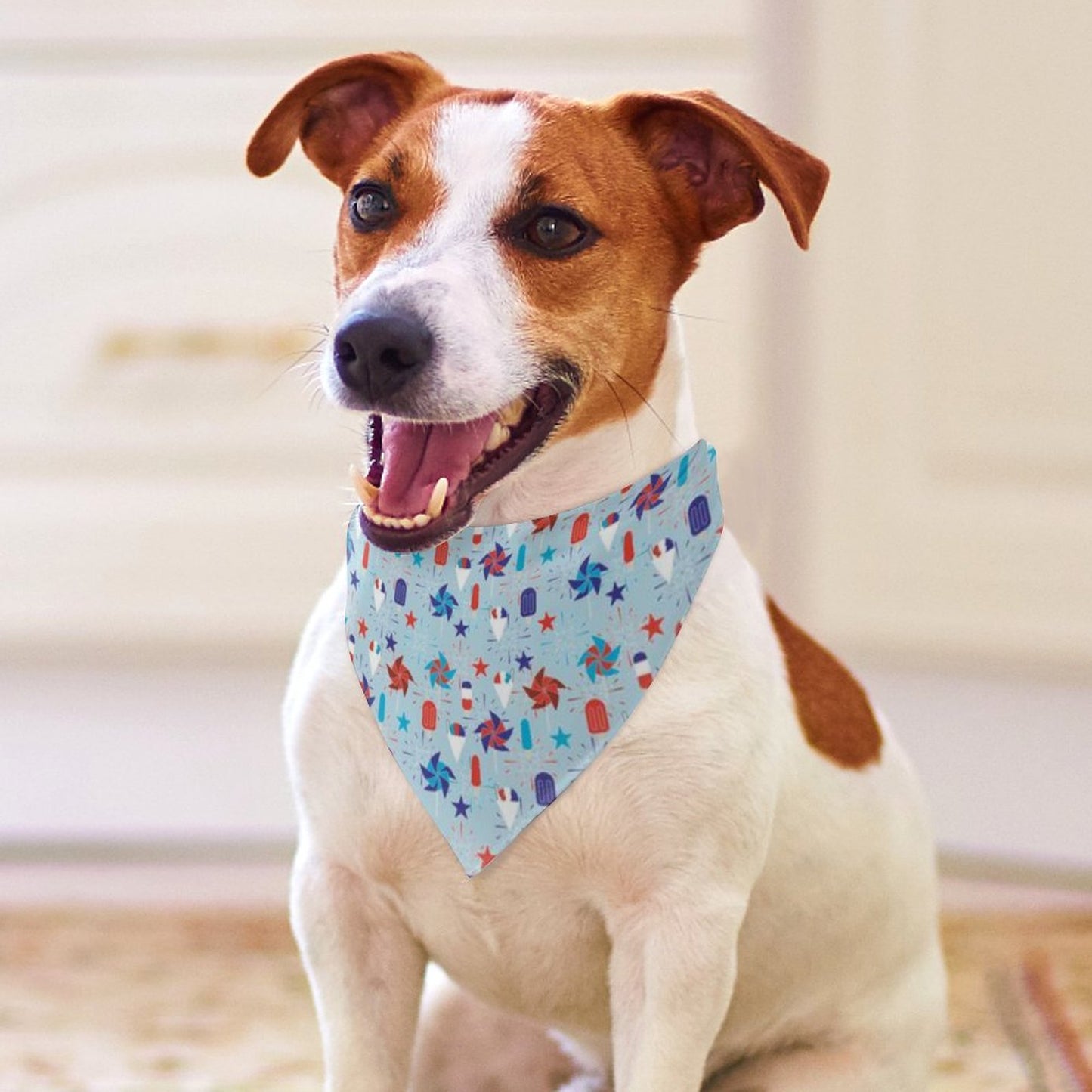 Pet Tie-On Bandana