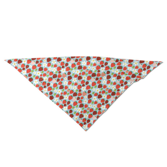 Playful Scarf