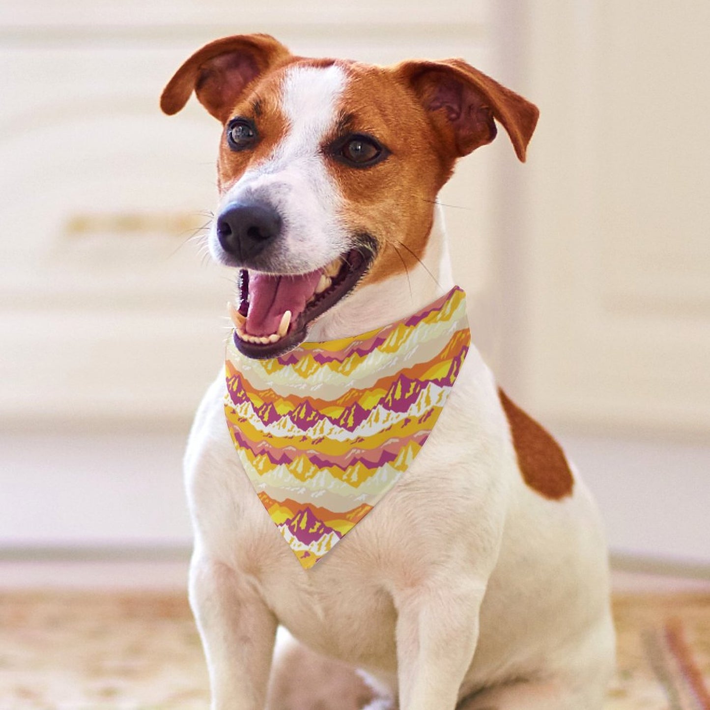 Pet Tie-On Bandana