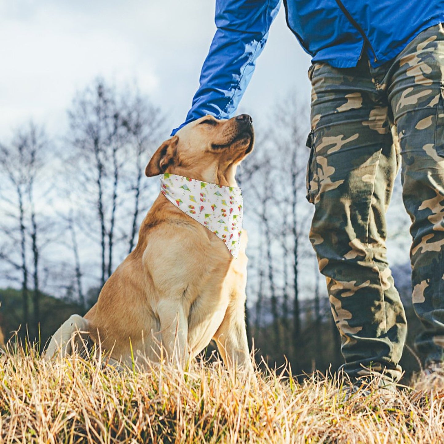Pet Bandana