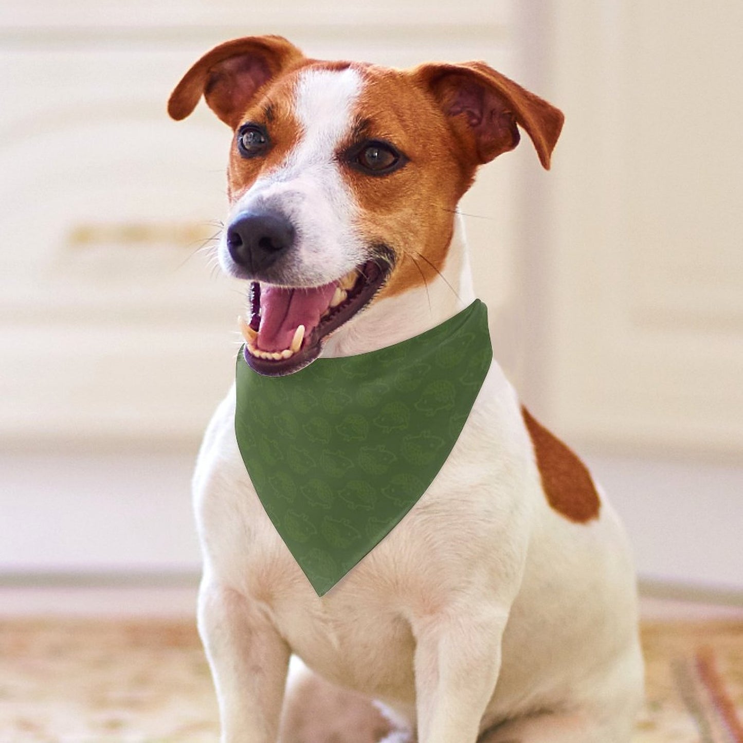 Pet Tie-On Bandana