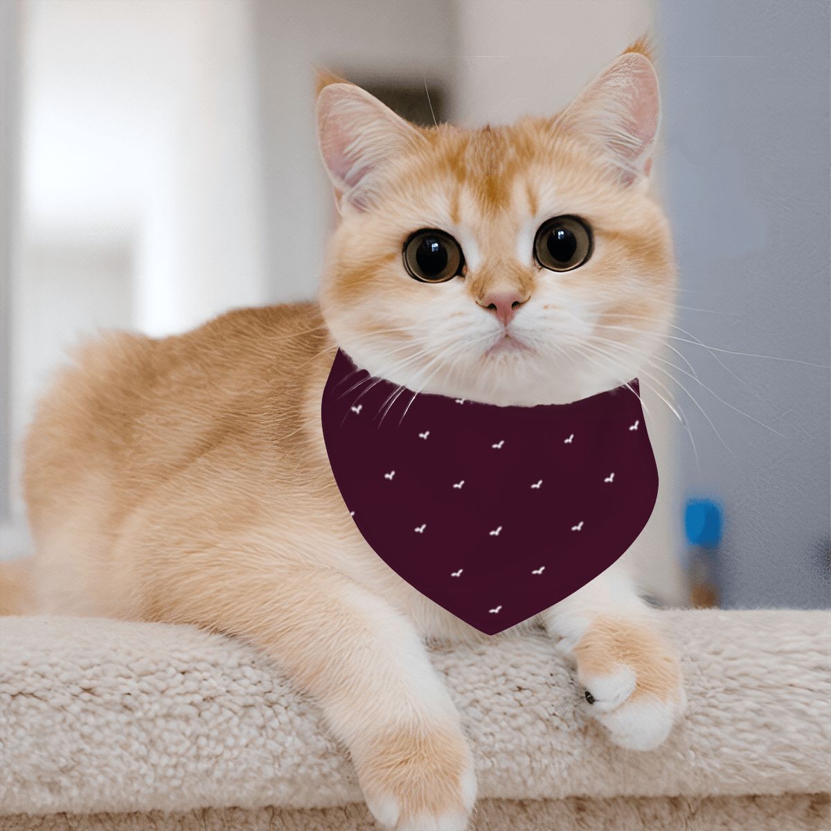 Pet Cotton Snap Bandana