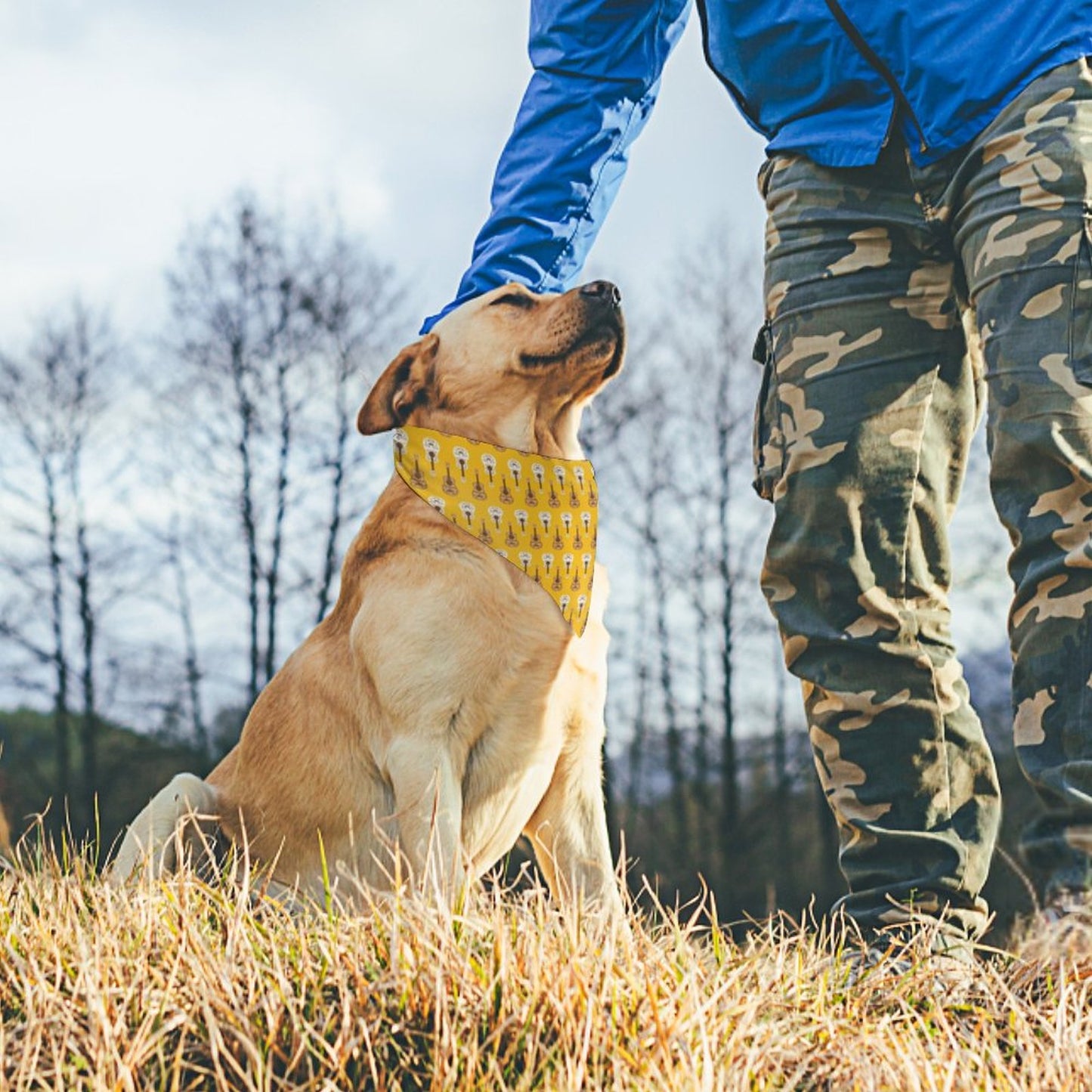 Pet Bandana