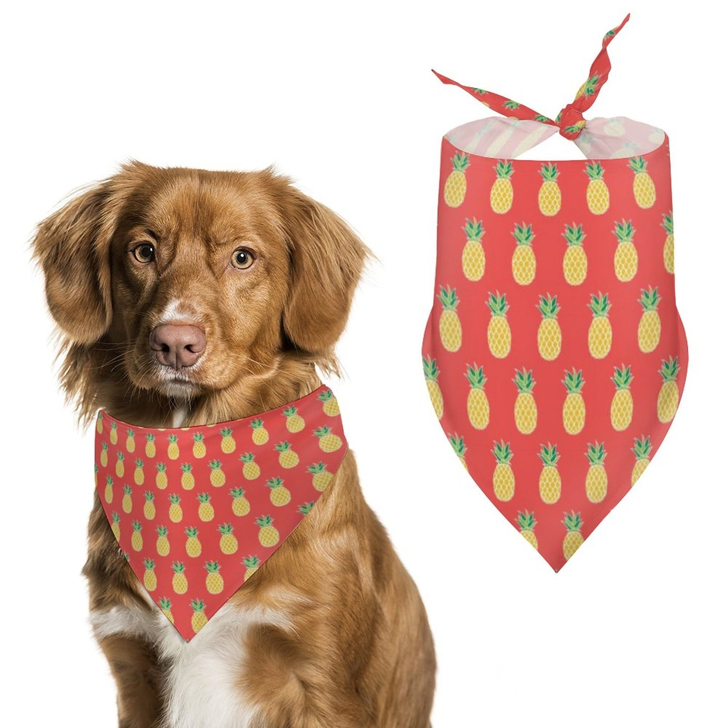 Pet Bandana