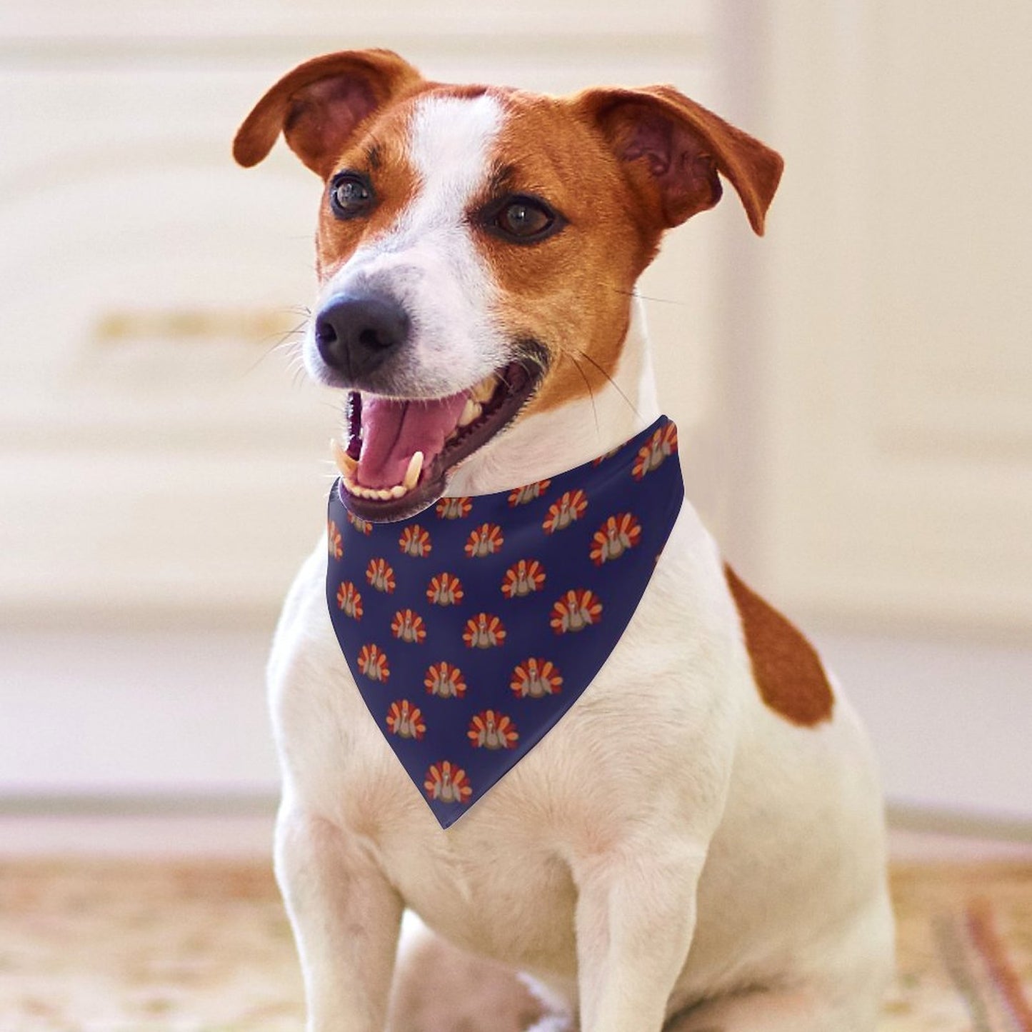 Pet Tie-On Bandana