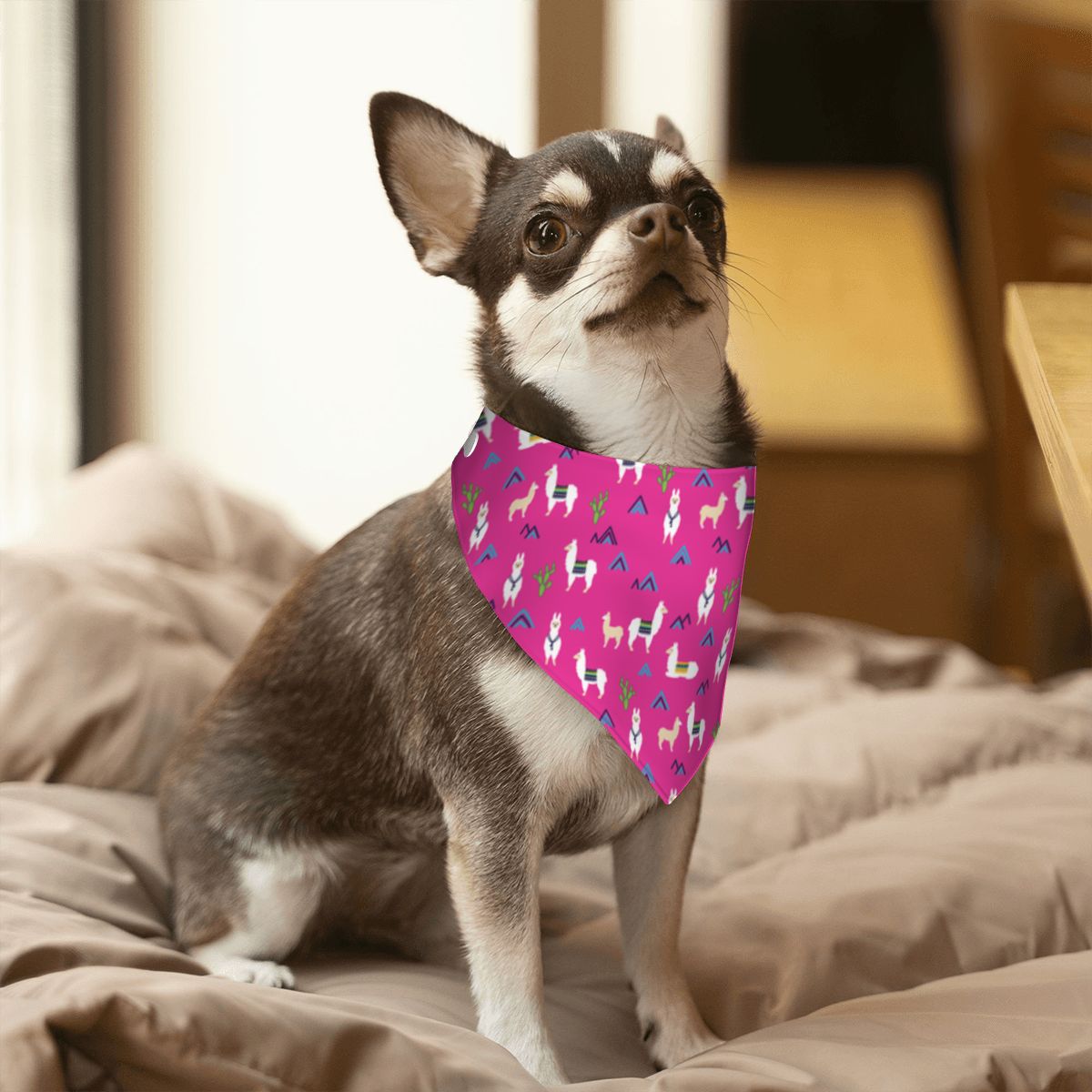 Pet Cotton Snap Bandana