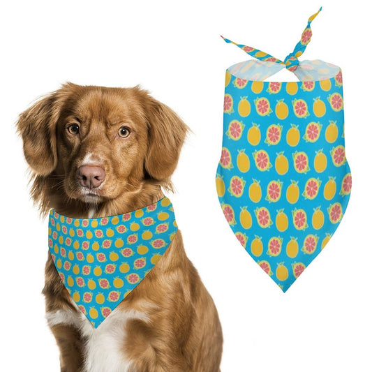 Pet Bandana
