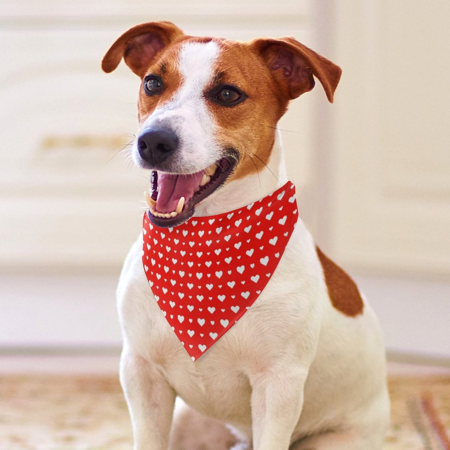 Pet Bandana