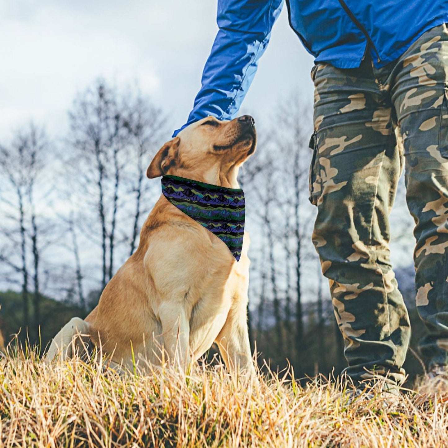 Pet Tie-On Bandana
