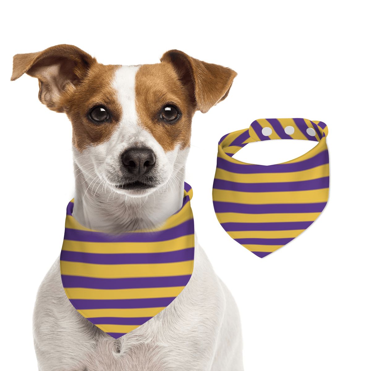 Pet Cotton Snap Bandana