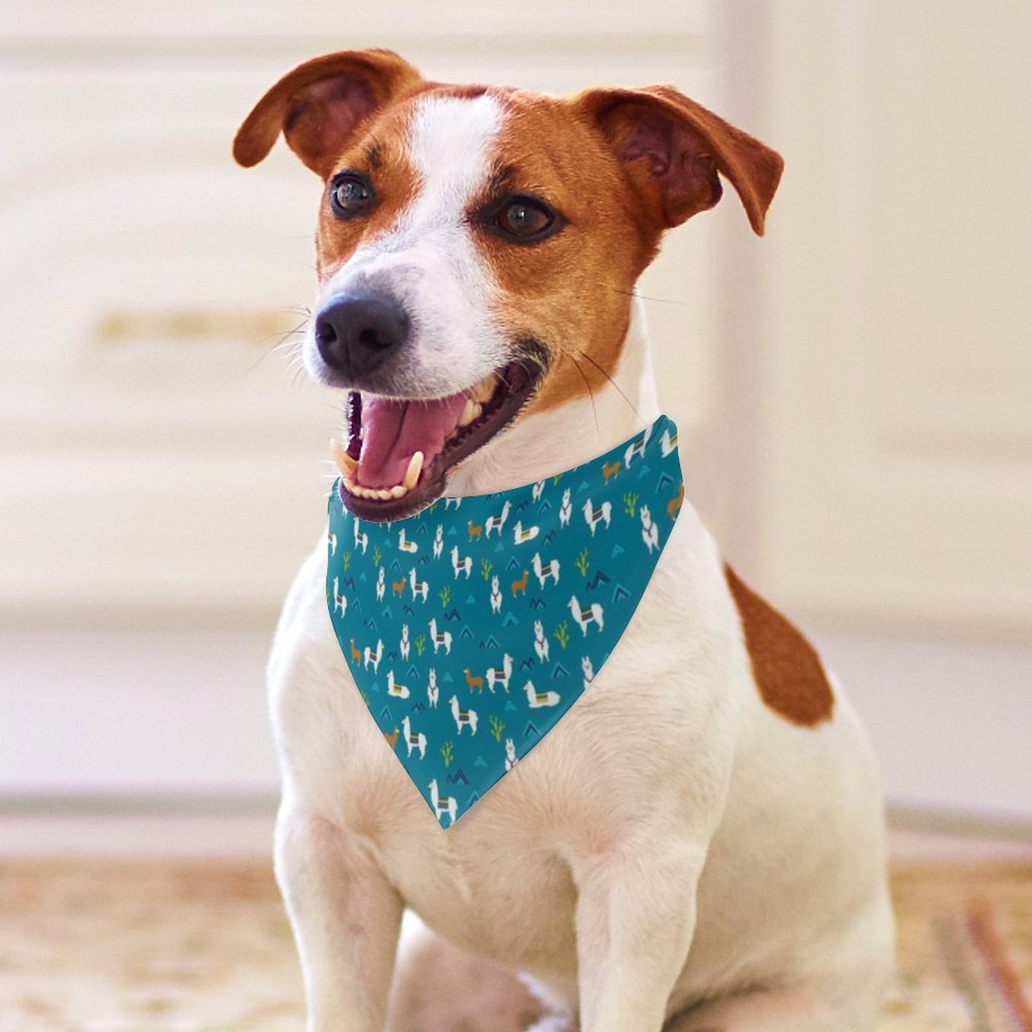 Pet Bandana