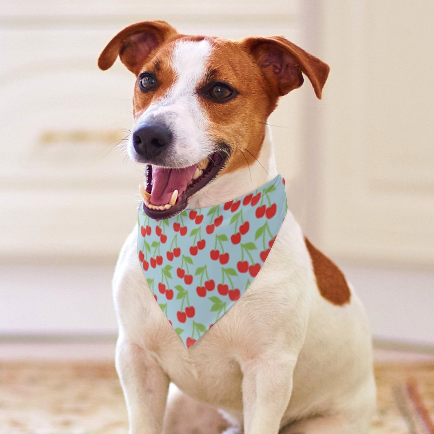 Pet Tie-On Bandana