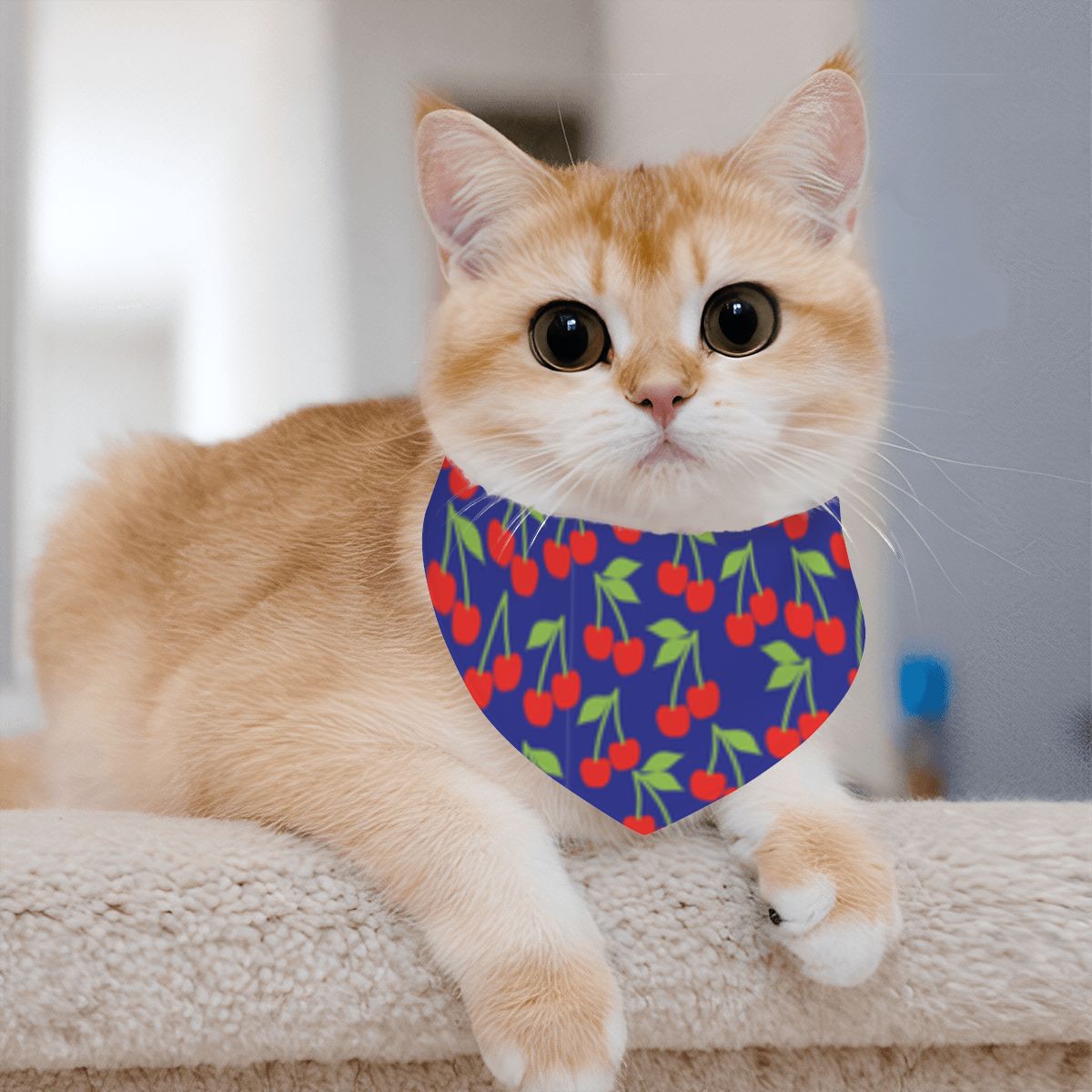 Pet Cotton Snap Bandana