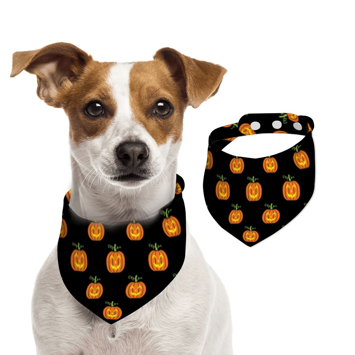 Pet Cotton Snap Bandana