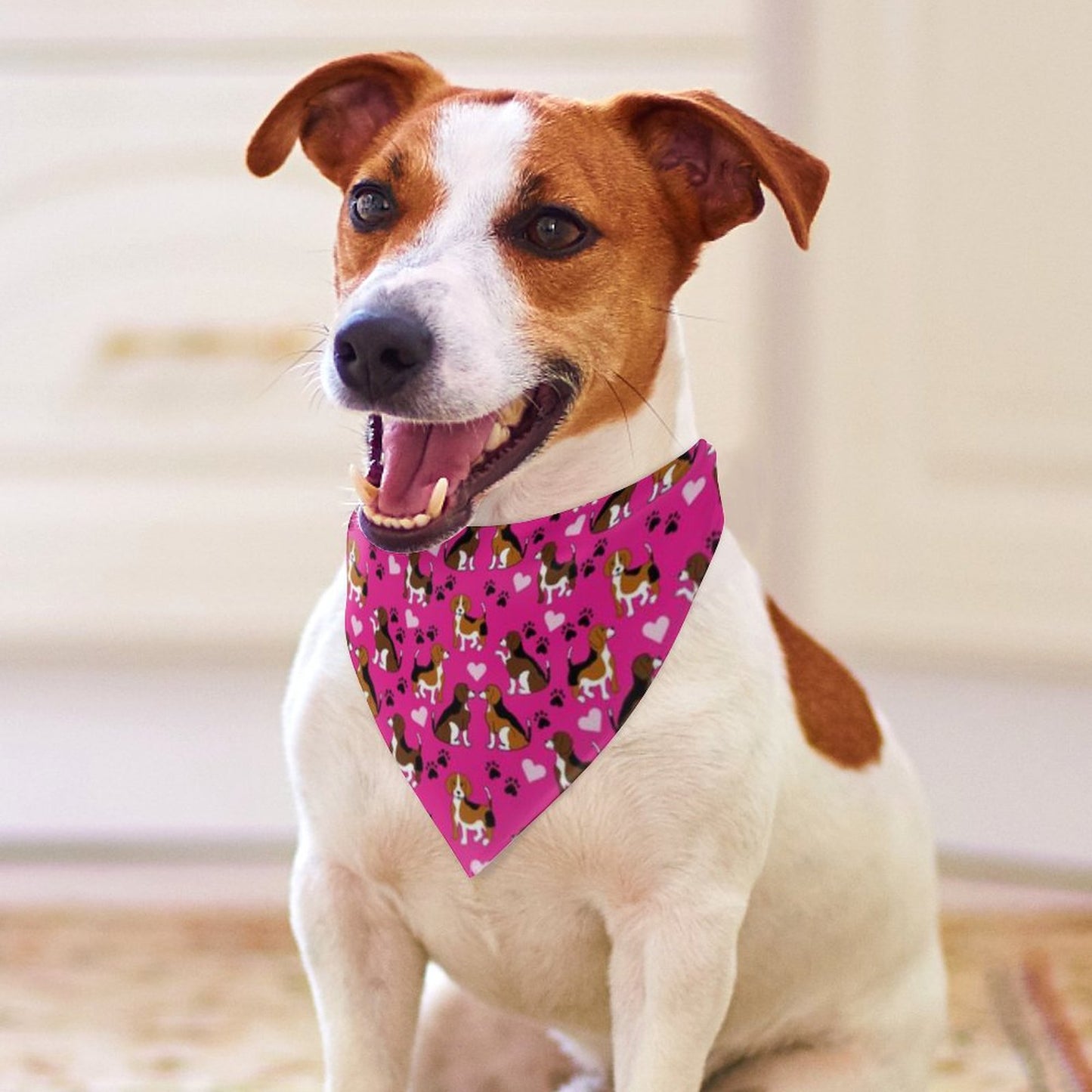 Pet Tie-On Bandana