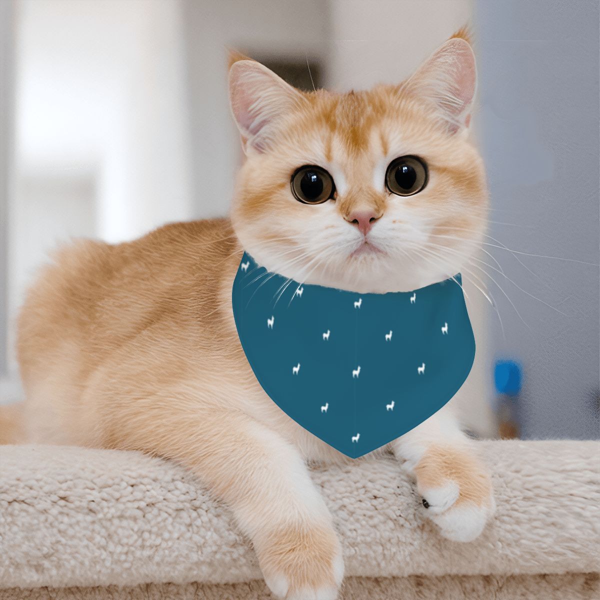 Pet Cotton Snap Bandana