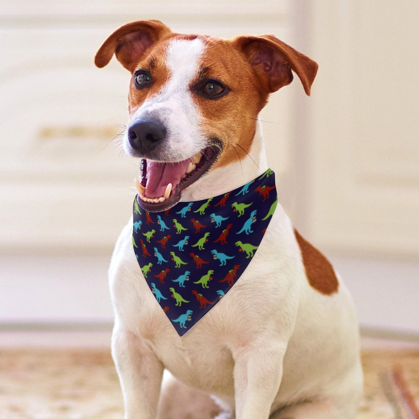 Pet Tie-On Bandana