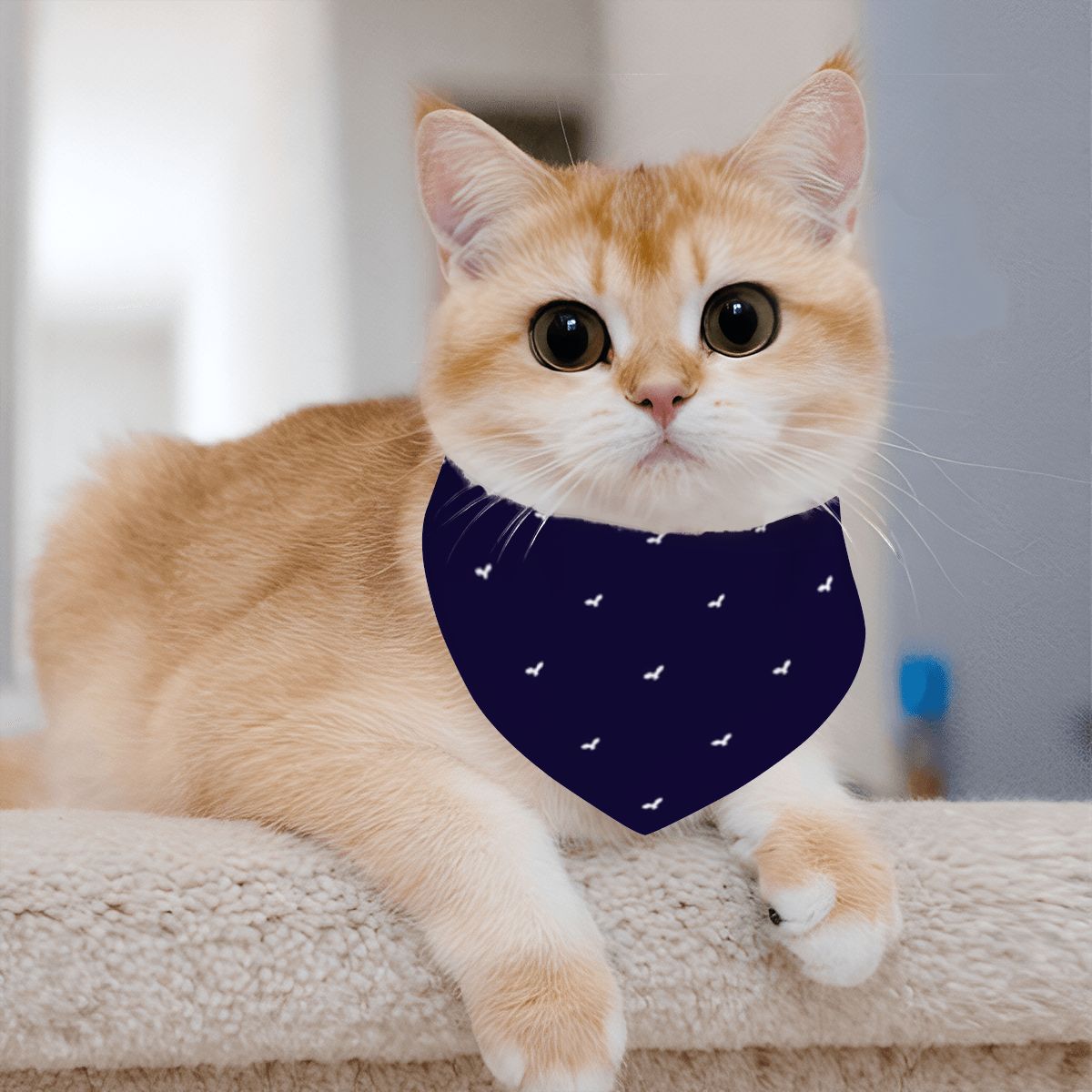 Pet Cotton Snap Bandana