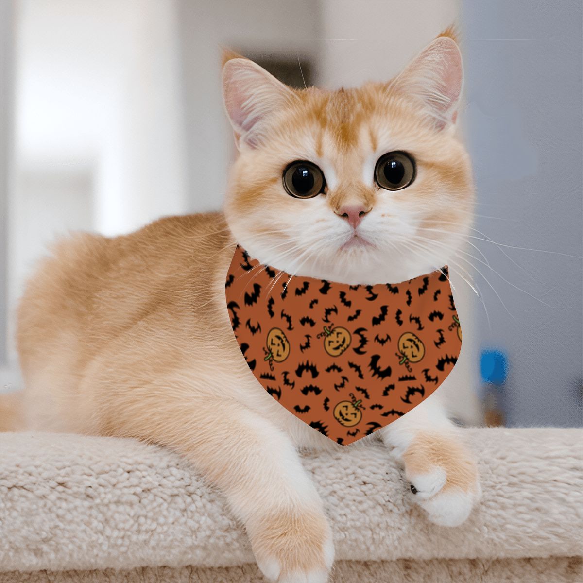 Pet Cotton Snap Bandana