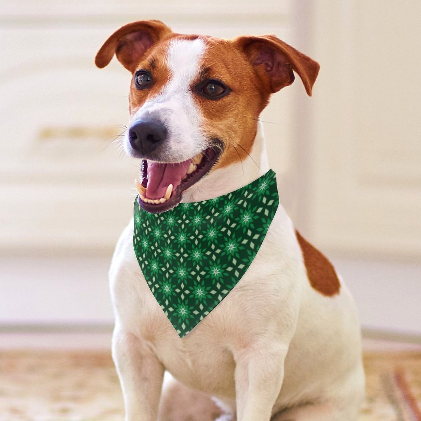 Pet Tie-On Bandana