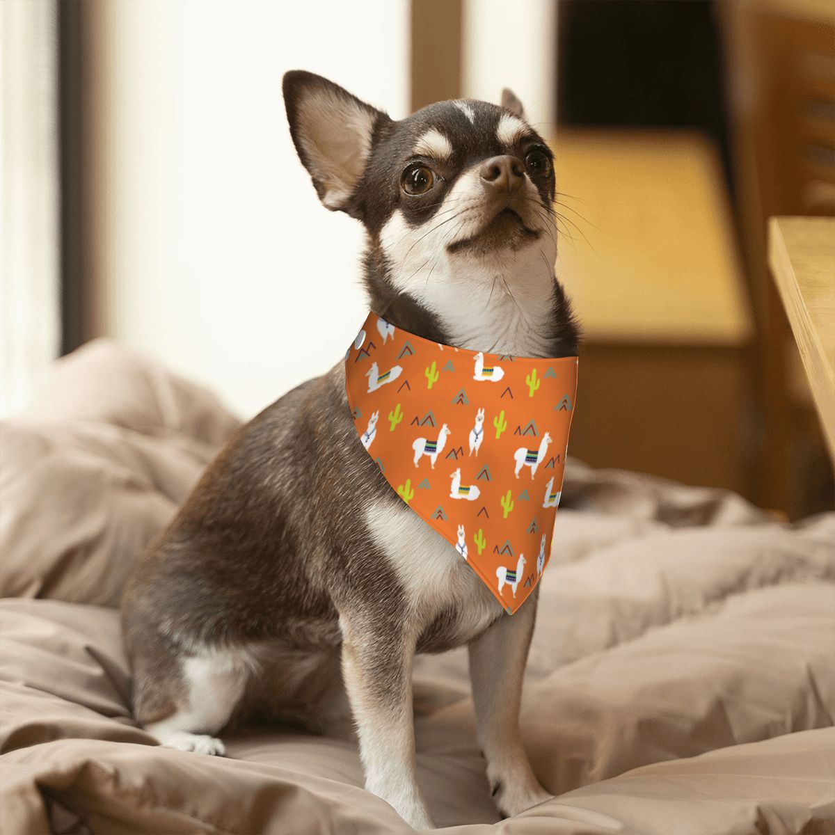 Pet Cotton Snap Bandana