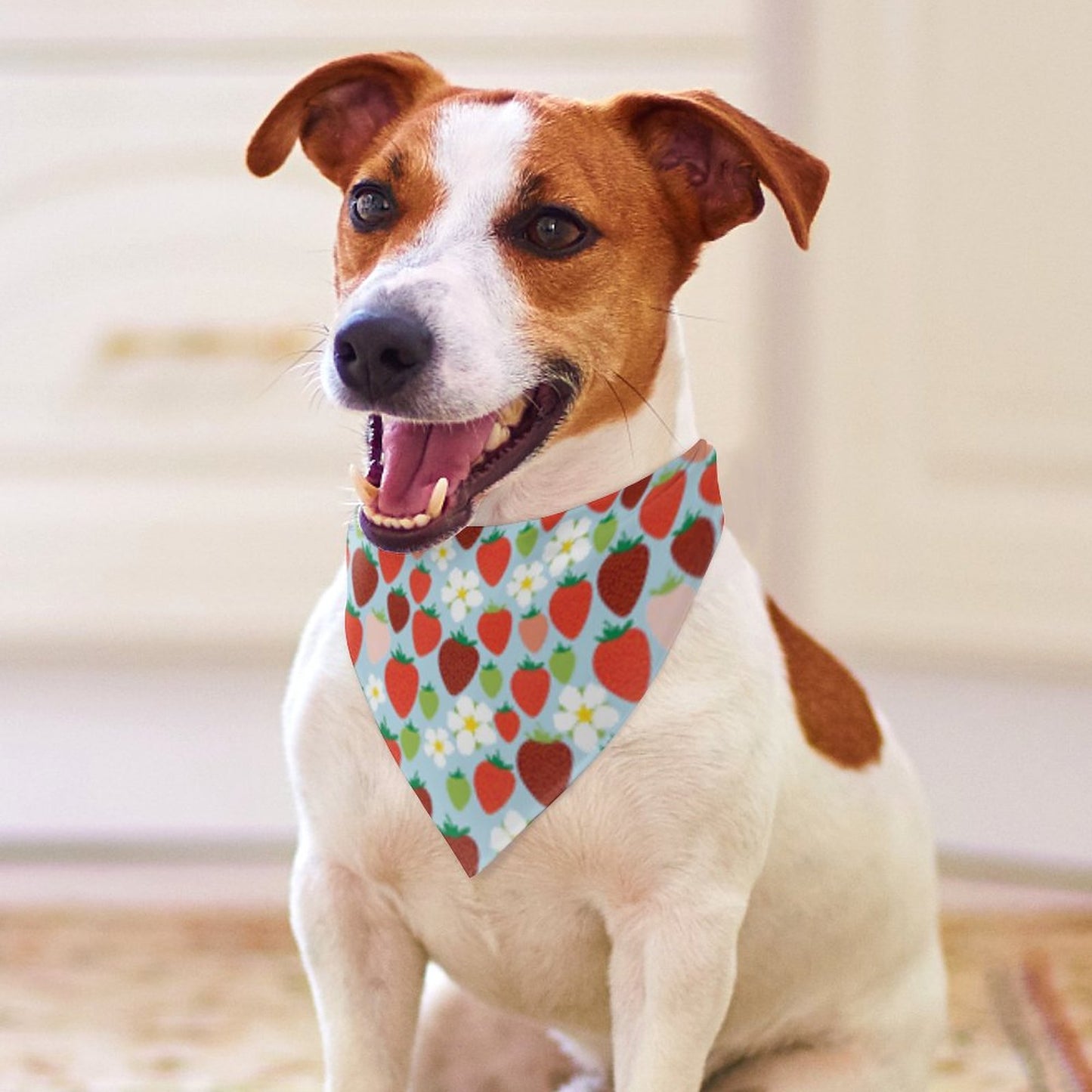 Pet Tie-On Bandana