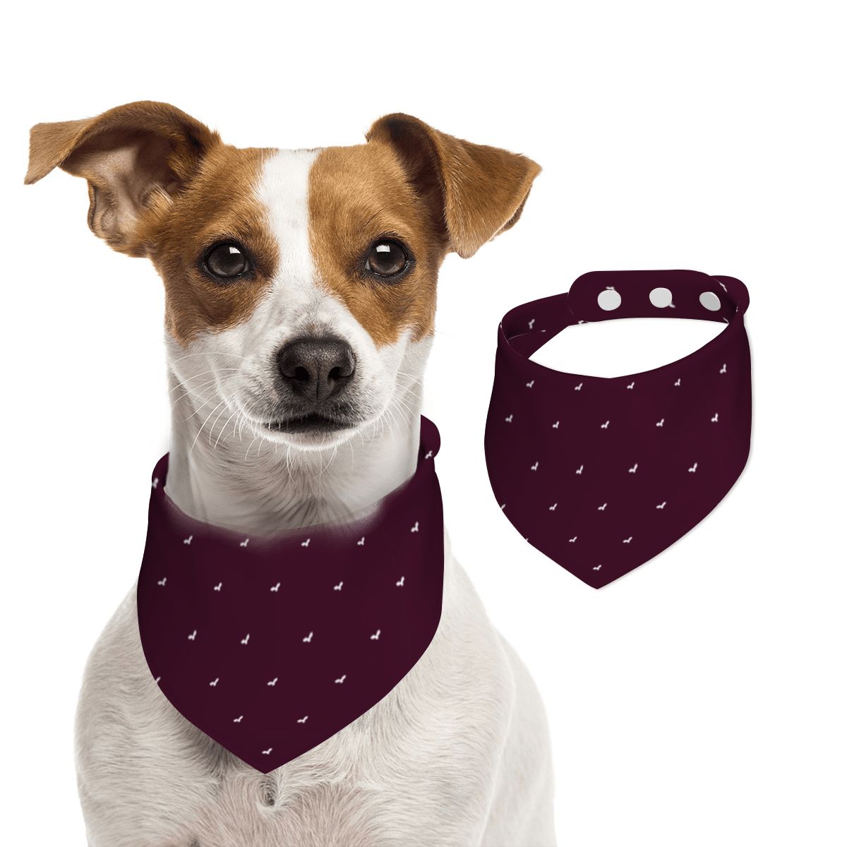 Pet Cotton Snap Bandana