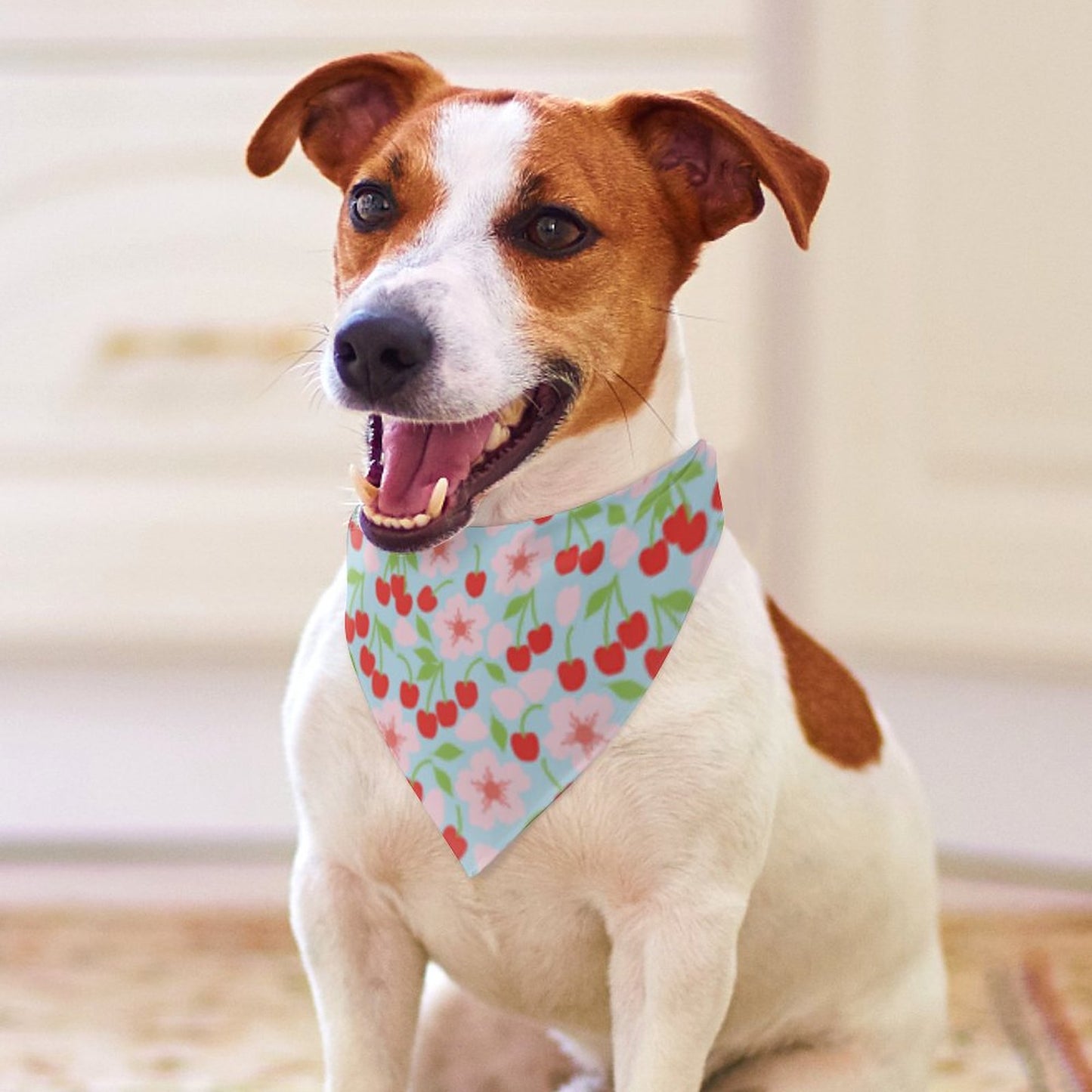 Pet Tie-On Bandana