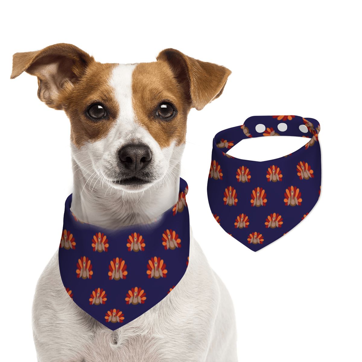 Pet Cotton Snap Bandana