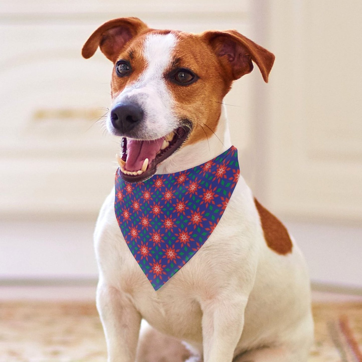 Pet Tie-On Bandana
