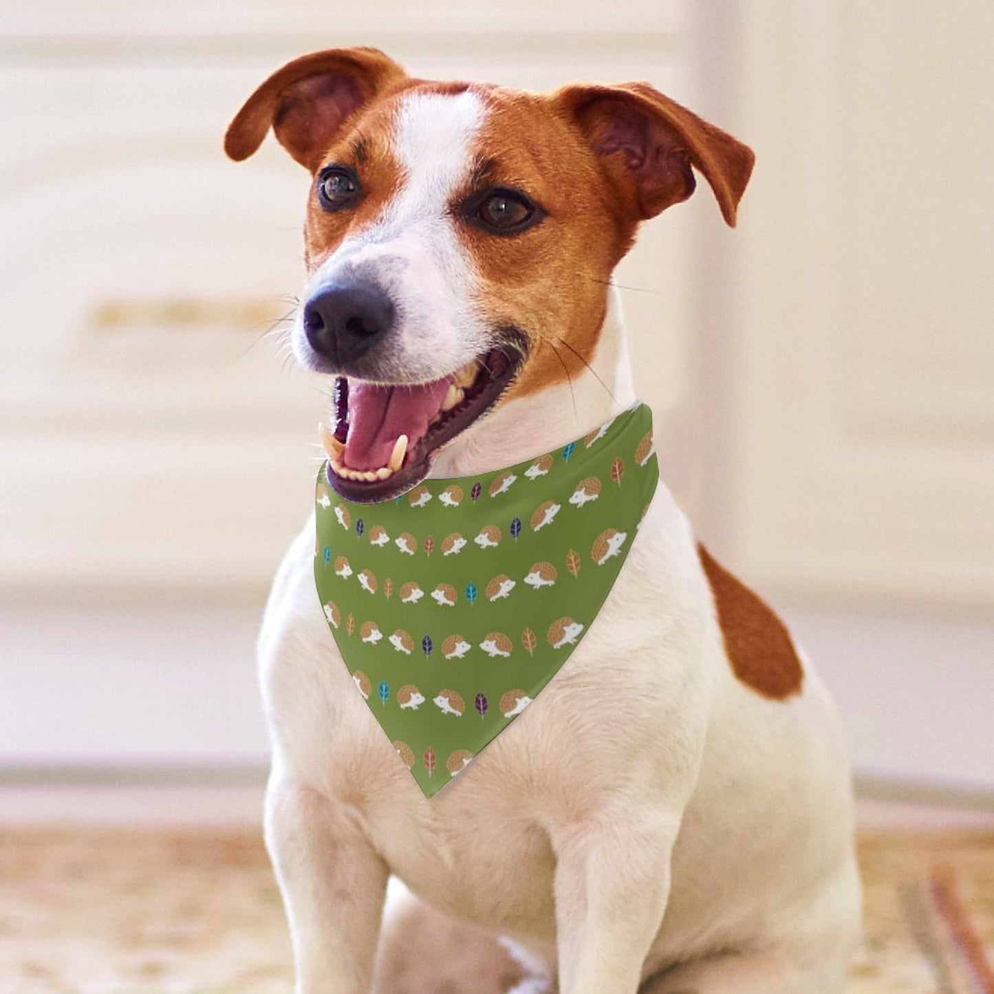 Pet Tie-On Bandana