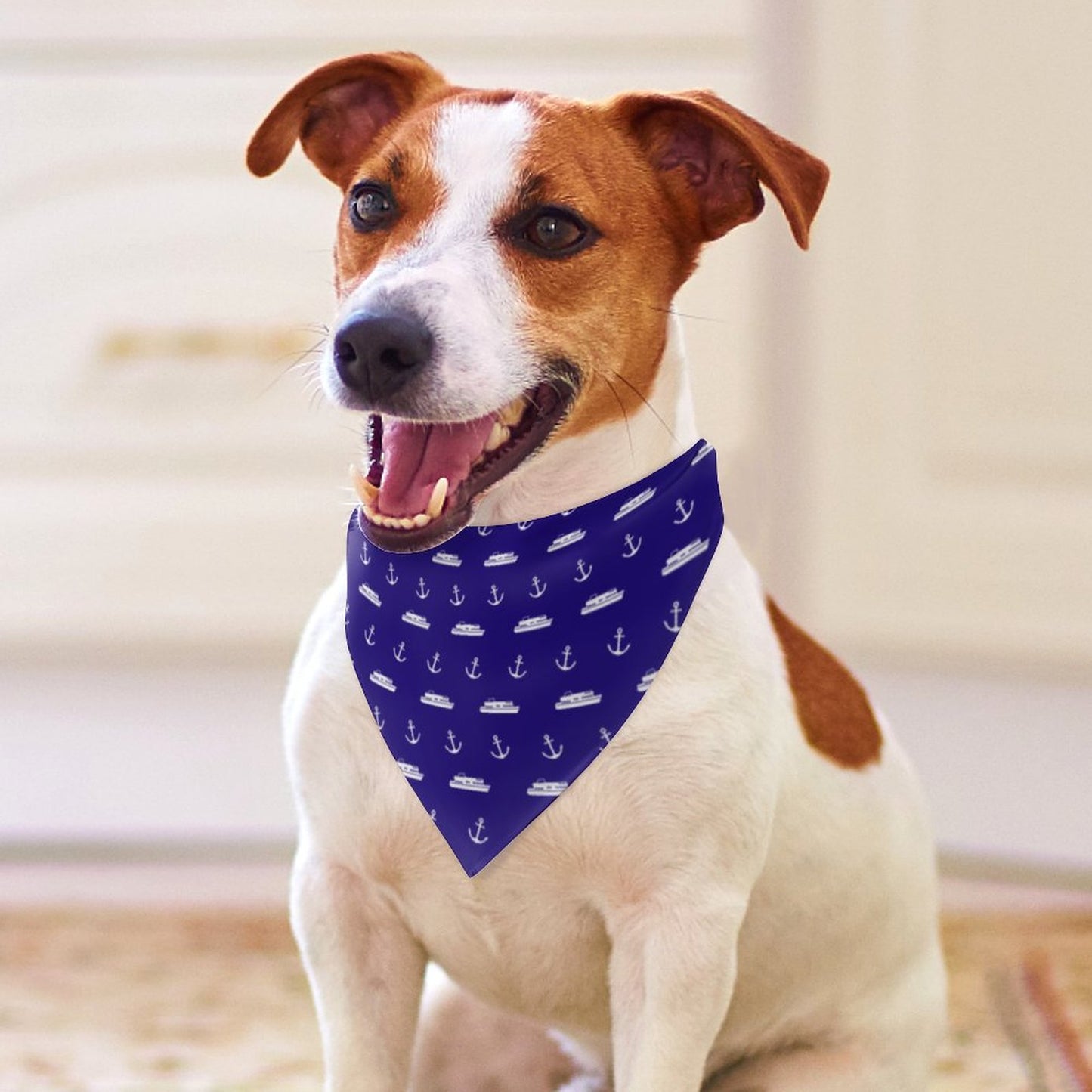 Pet Tie-On Bandana